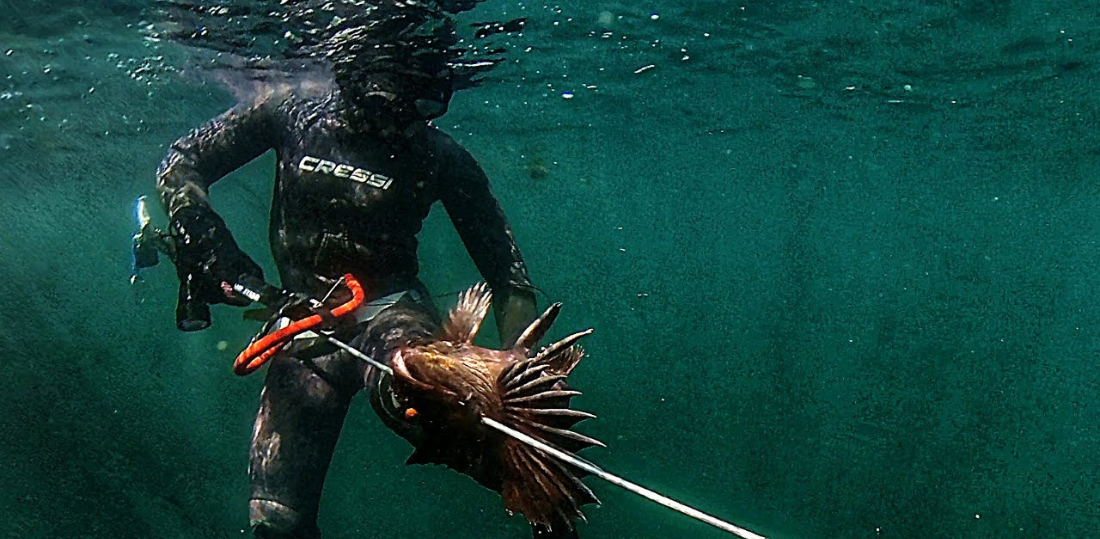 Spearfishing in British Columbia