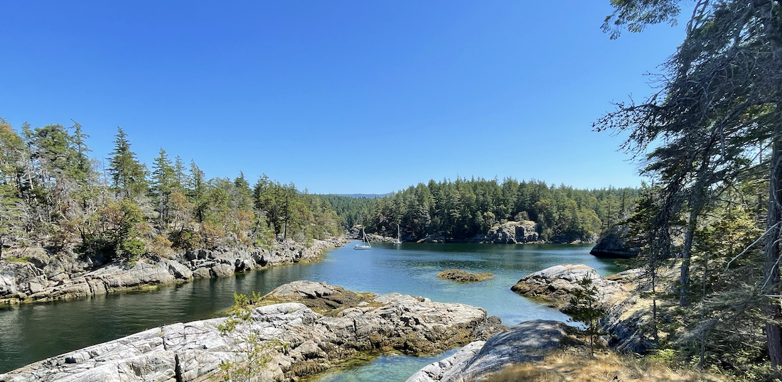 Summer Diving in Vancouver: What to Expect