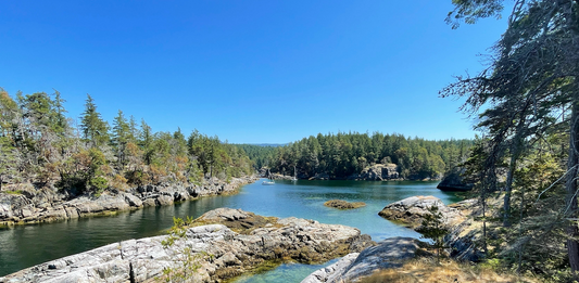 Summer Diving in Vancouver: What to Expect