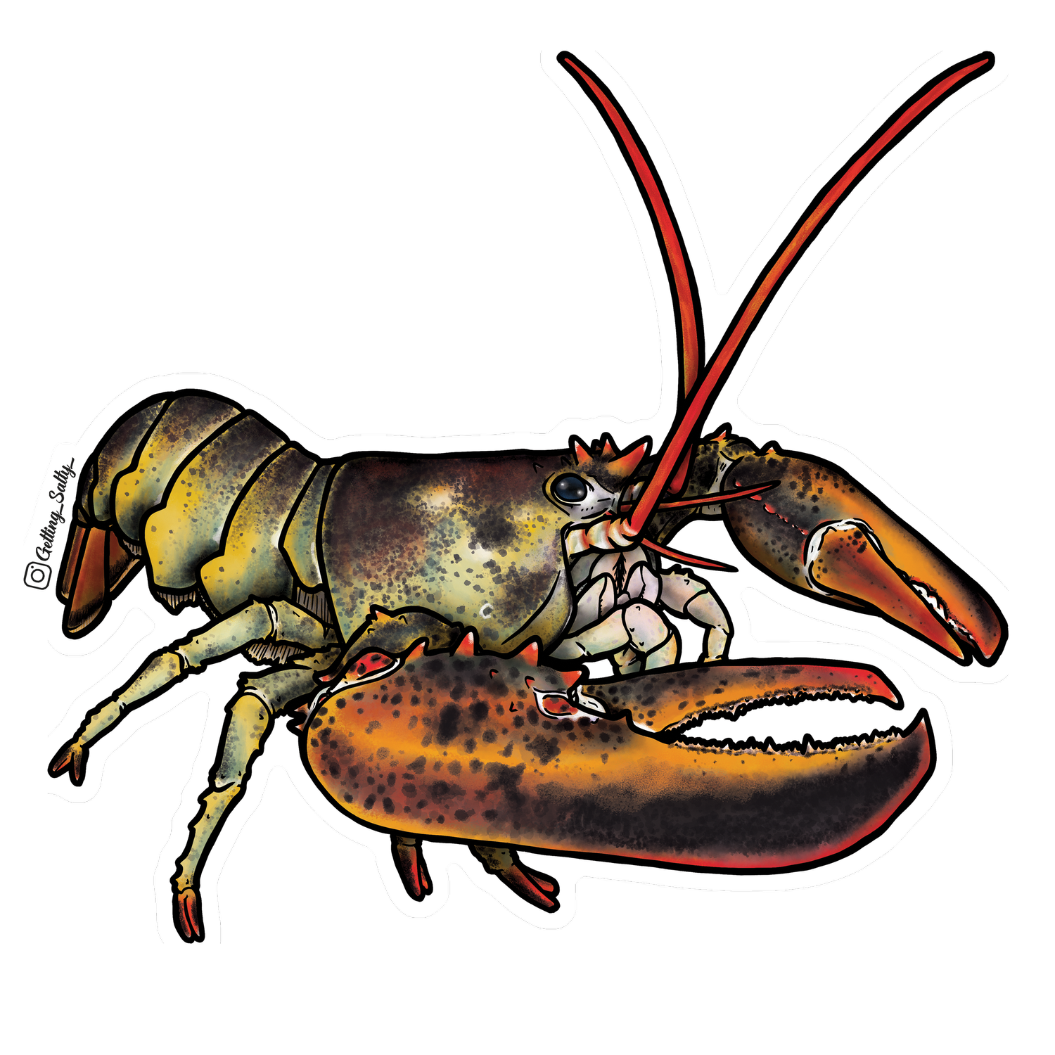 Getting Salty Atlantic Lobster | Diving Sports Canada | Vancouver