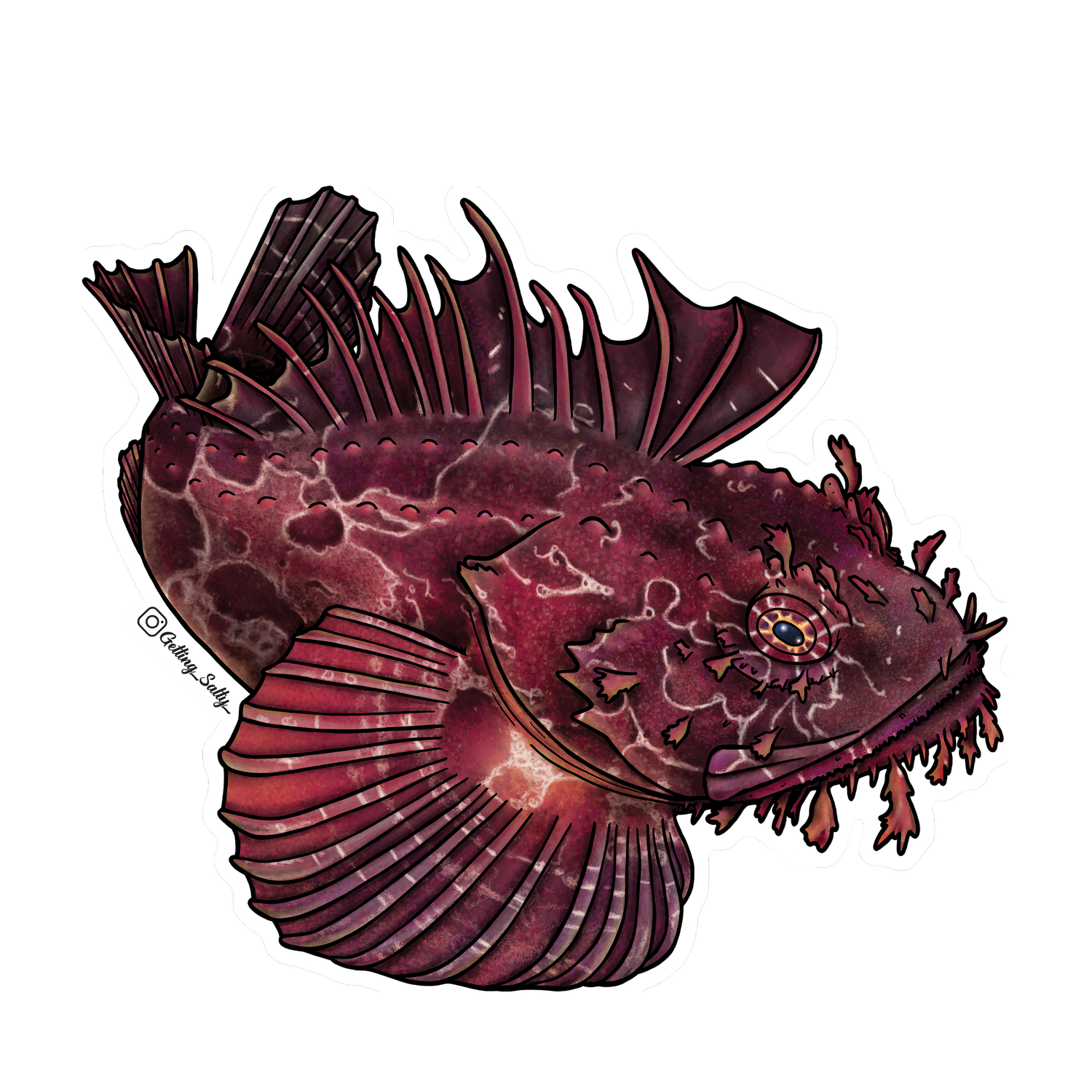 Getting Salty Atlantic Sea Raven | Diving Sports Canada | Vancouver