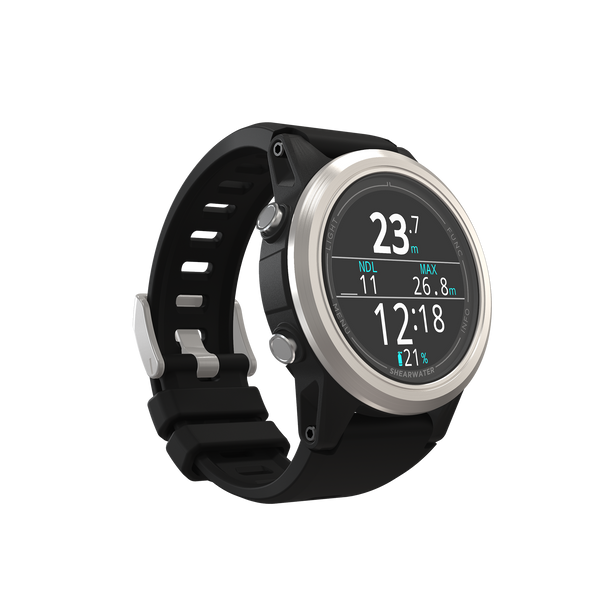 Shearwater Tern | Diving Sports Canada | Vancouver