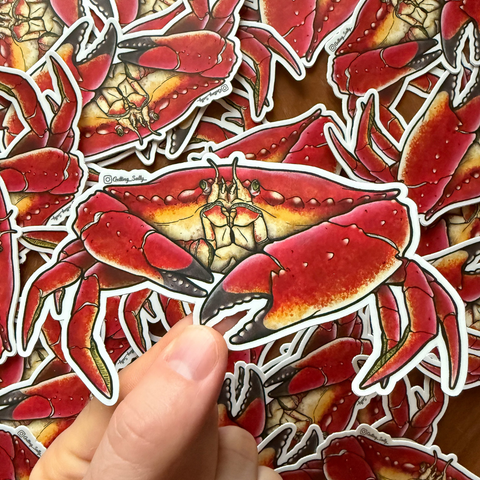 Getting Salty Red Rock Crab Sticker