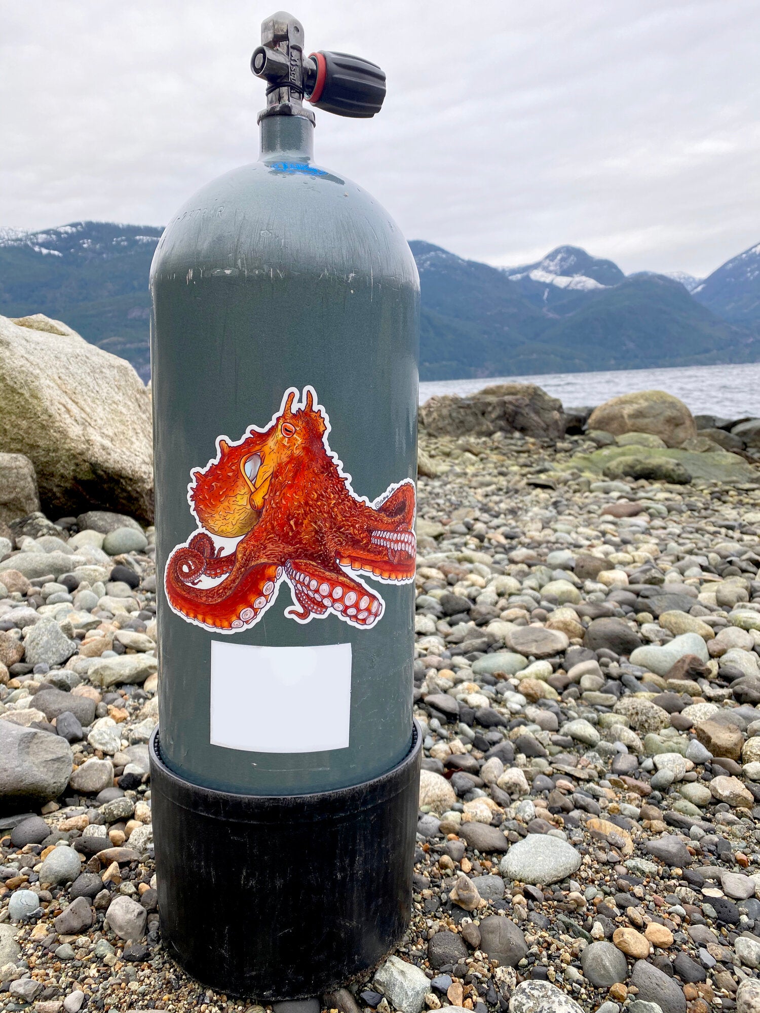 Getting Salty Giant Pacific Octopus - Tank Wrap | Diving Sports Canada