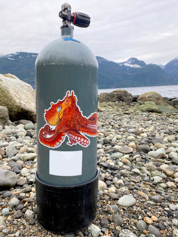 Getting Salty Giant Pacific Octopus - Tank Wrap | Diving Sports Canada